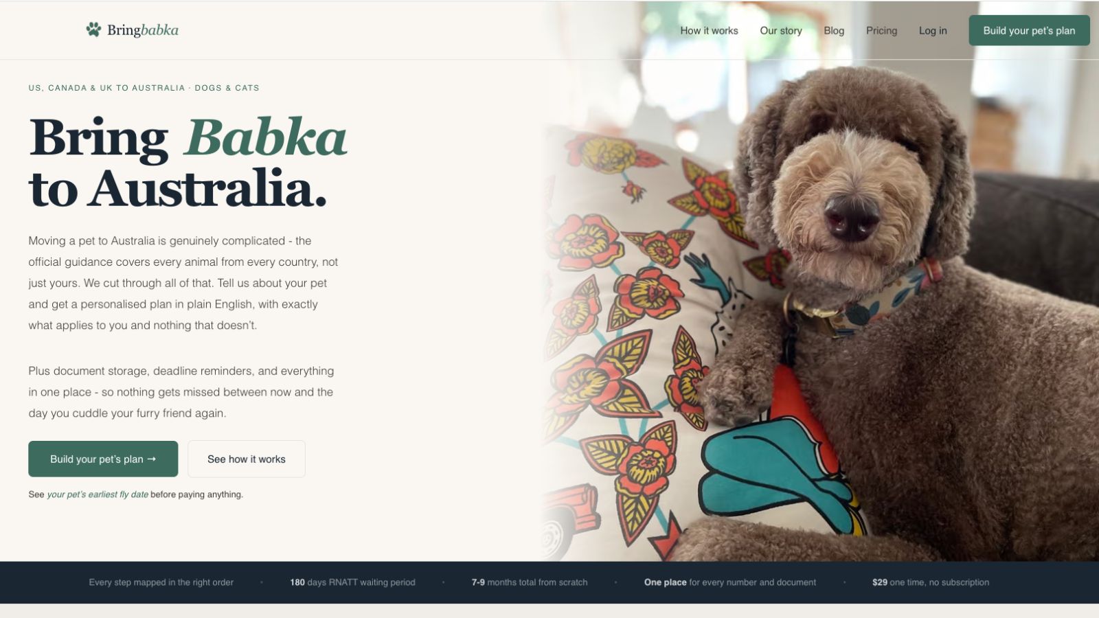Bringbabka.com landing page